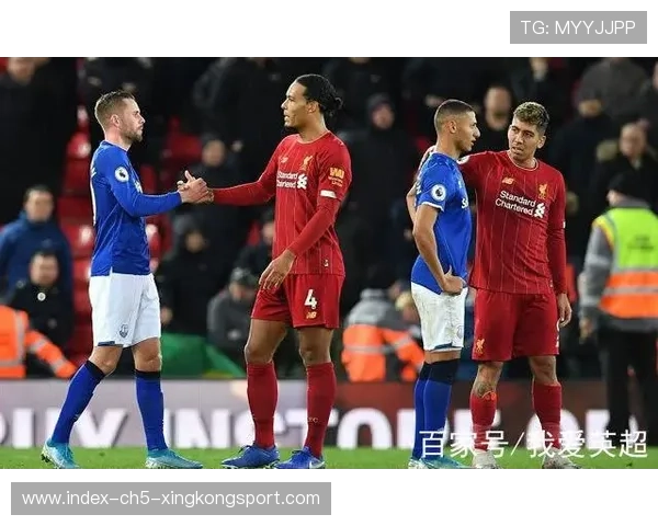 英超球迷对俱乐部治理的参与度调查结果公布