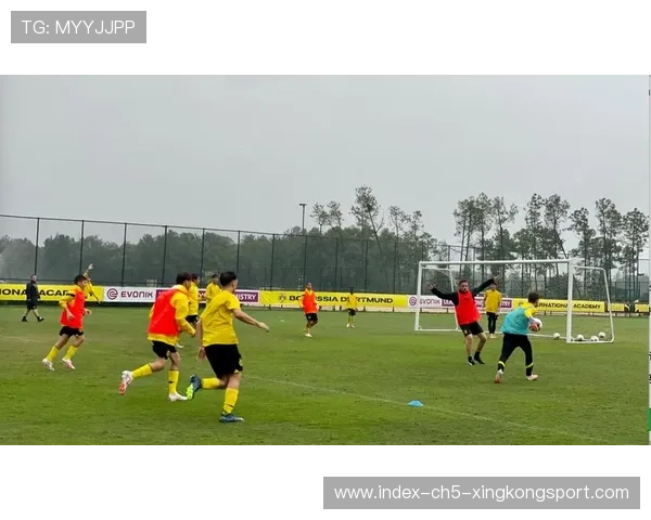 多特蒙德决定加速与本土学院的联合培养——开启青训新纪元 多特蒙德决定加速与本土学院的联合培养——开启青训新纪元