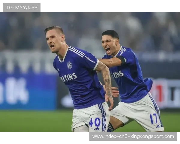 沙尔克04—恩克尔多克左脚弧线球破门 沙尔克04—恩克尔多克左脚弧线球破门