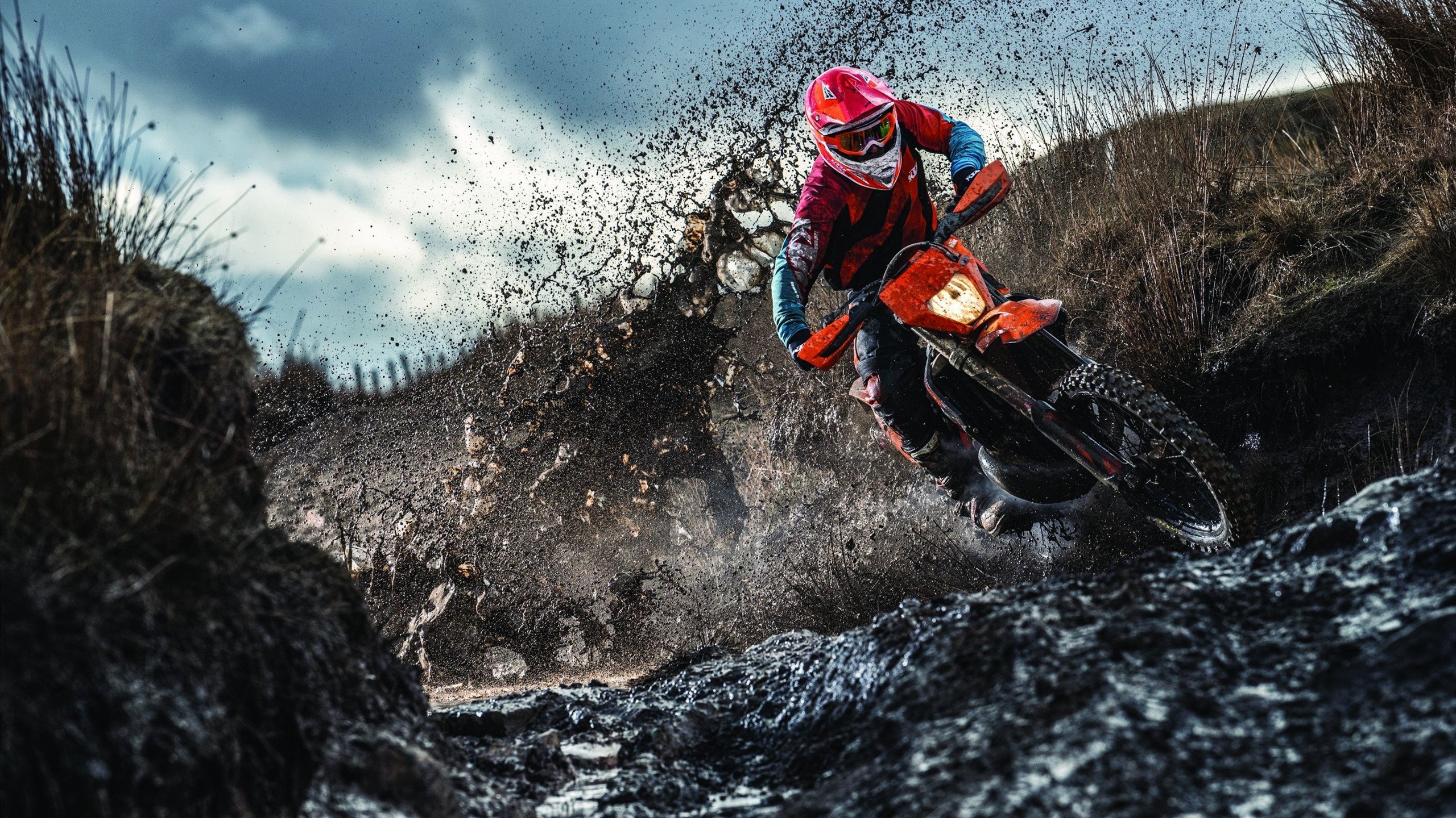 “体育+编程黑客松” 用代码解决赛事痛点